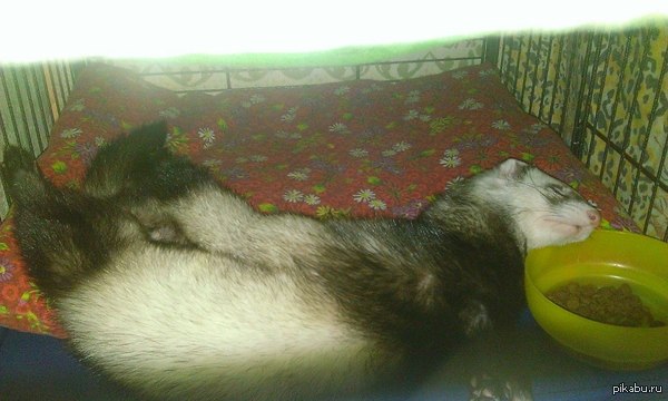 �� ������...