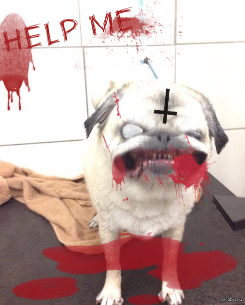 �� ������� ���� ����