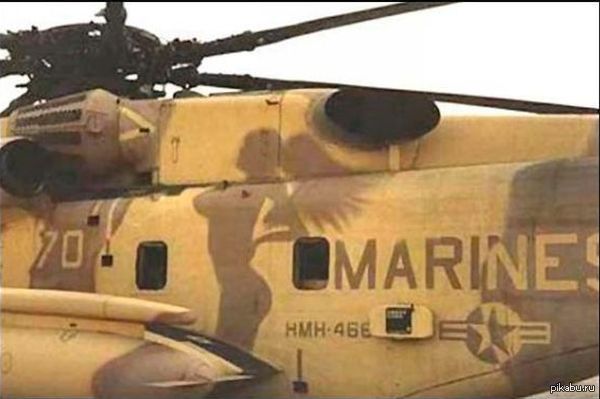 Отличный камуфляж!