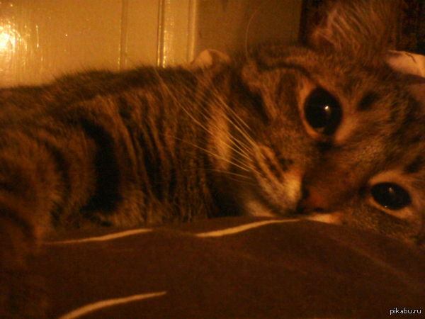 Селфи одиночества.