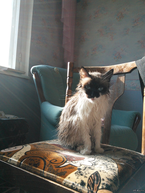 ������ �����