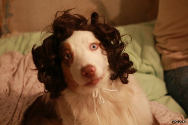 �� �����������