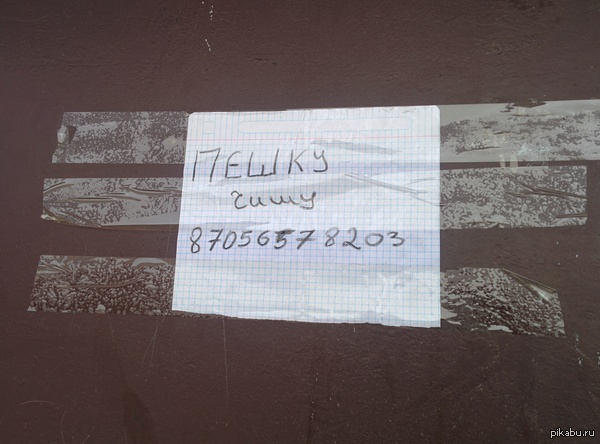 Объявления на остановке