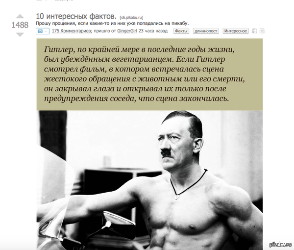 ��� ����������