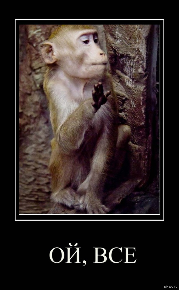 вместо тысячи слов...