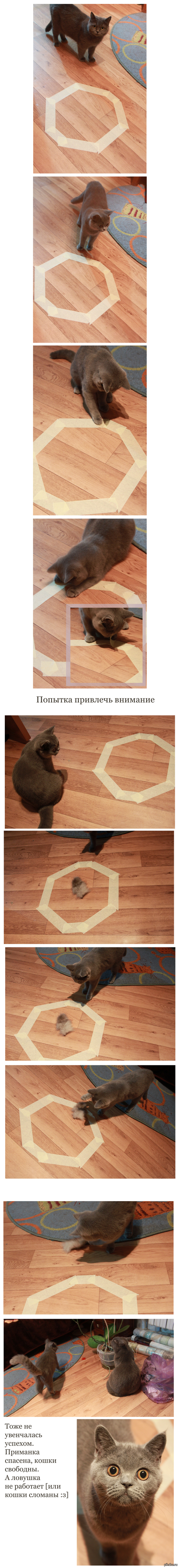 ������� ��� �����