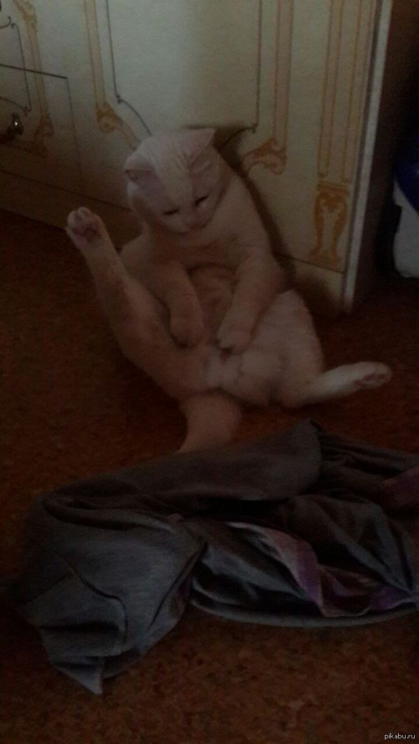 ��� ��� ��������� ��� �����....��� ���������?