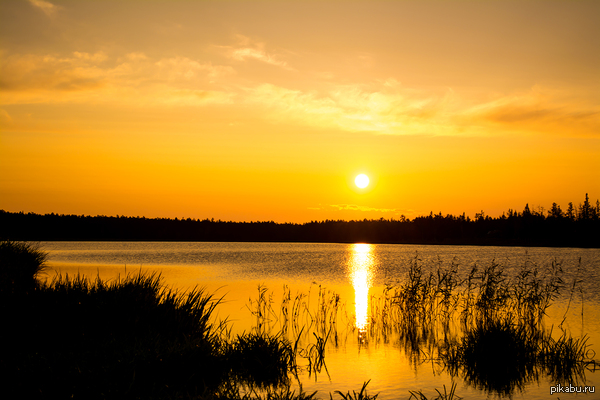 ����� ��� ������