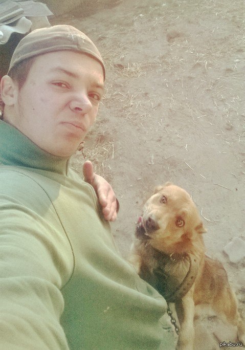 Собака кривляется