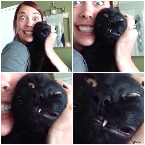         : "---!!!"