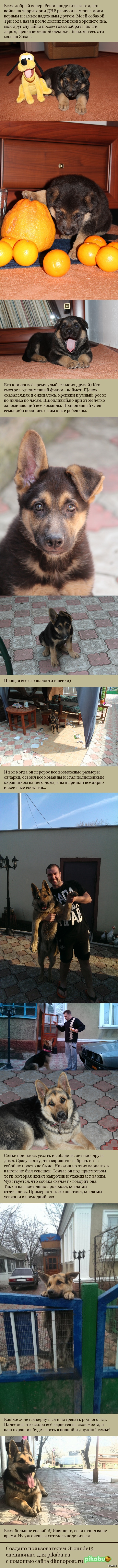   ,   