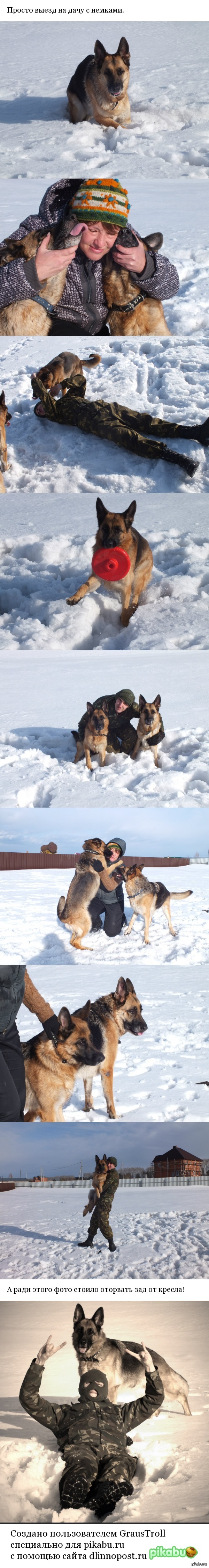 Зверьё мое
