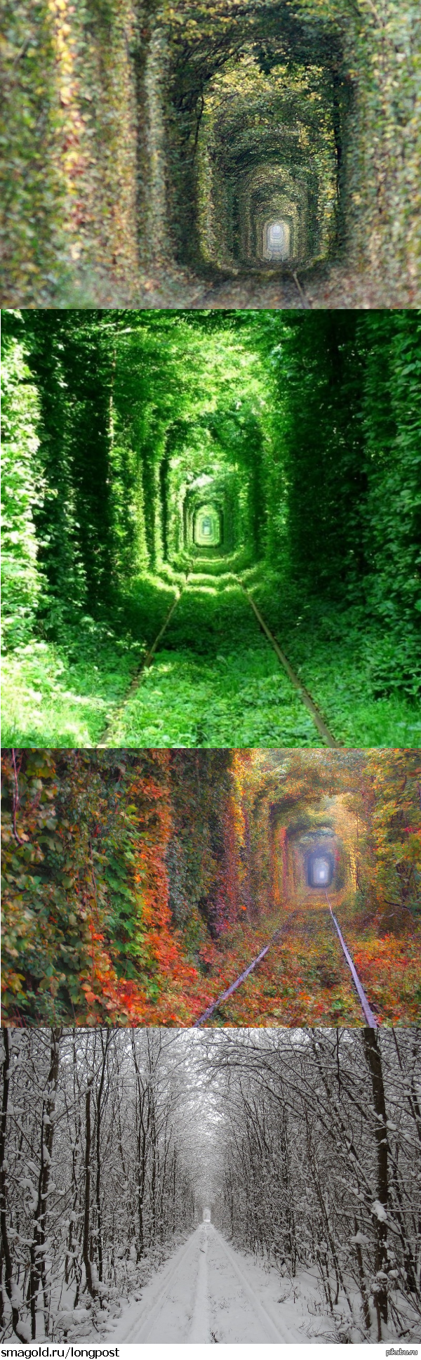 � ���� � ��������