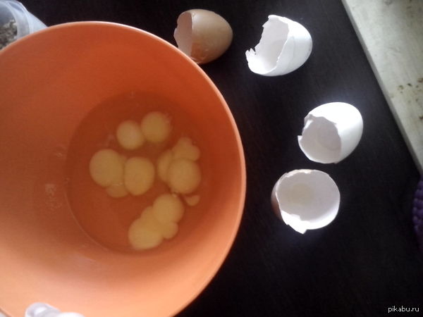 ���������� �� �����