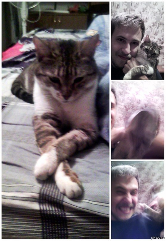 Попытка сэлфи с моей кошкой