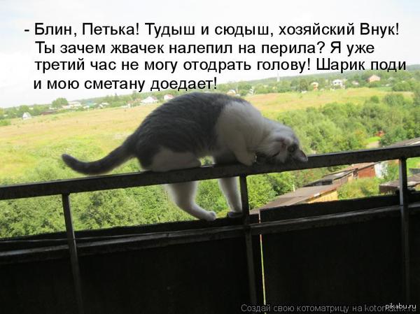 ��������� ���, ��� ����� ������ �� ������� � ����� � ������ ������������ ������. ����� ���, ����� ��� ����� ����� ������.