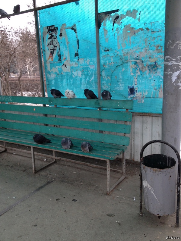 ����� ����.