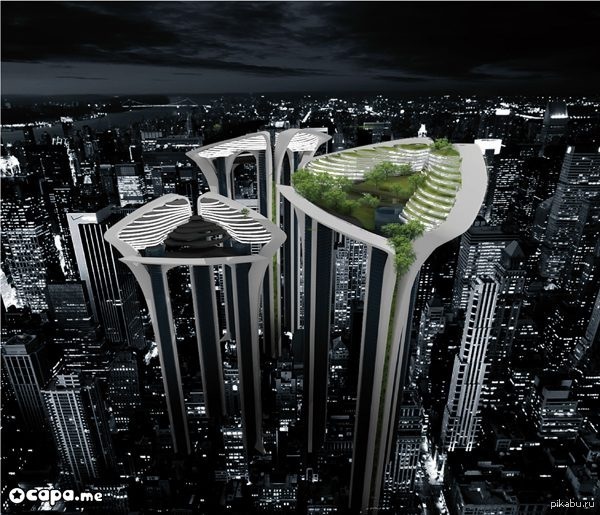 Acadia Tree Tower -  ...