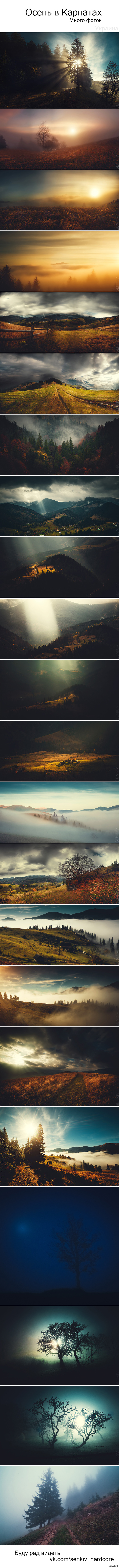 ����� � ��������;)