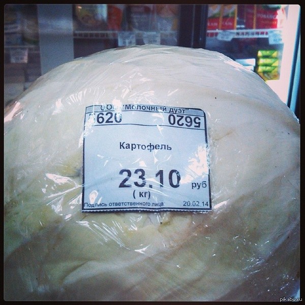 ,   !     ,  .     <a href="http://pikabu.ru/story/ubeditelnaya_prosba_2799327">http://pikabu.ru/story/_2799327</a>