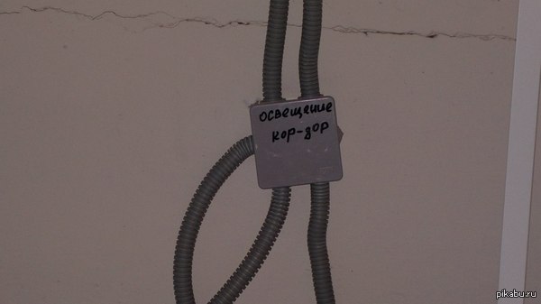 Сестра таланта