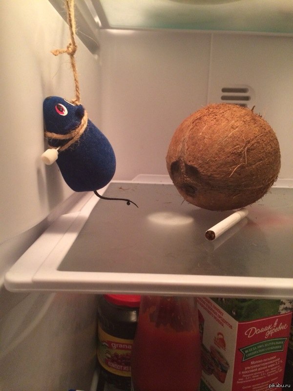 ������ �����, ���� � �������������