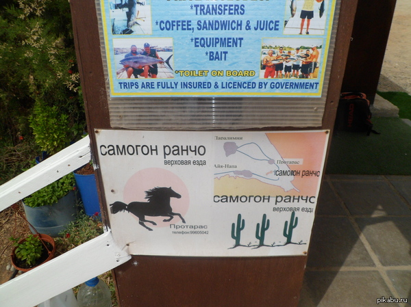 ��� �� �� �����