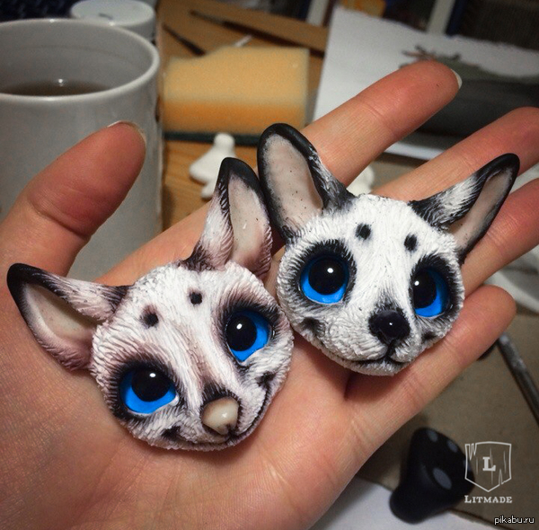 �������� ��� �����. ����� � ��������.