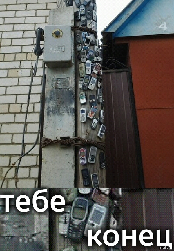 Nokia 3310      "" ,    3310