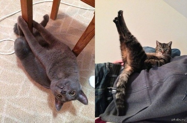 ����� ���� ����������� ����