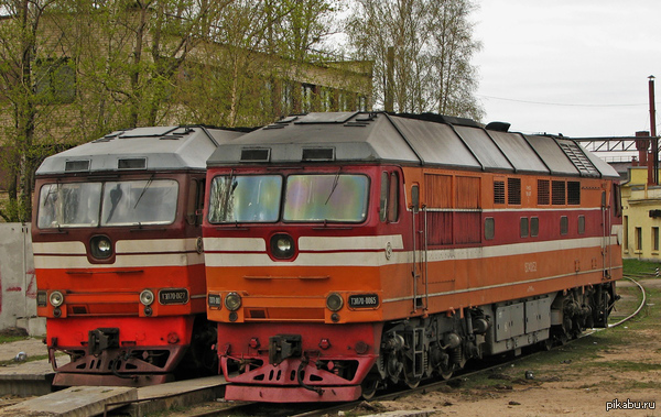 Пара Тапков