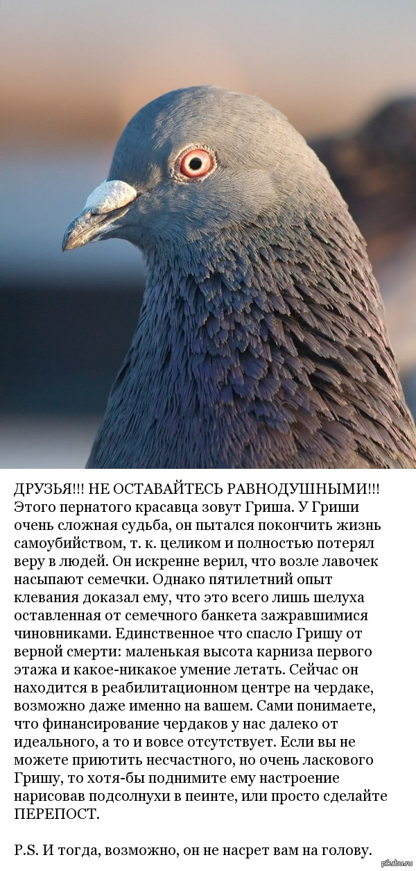 Срочно нужна помощь!
