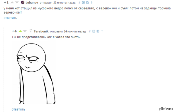 Теперь и вы знаете что происходит с котиками, которые съедают попку от сервелата с веревочкой