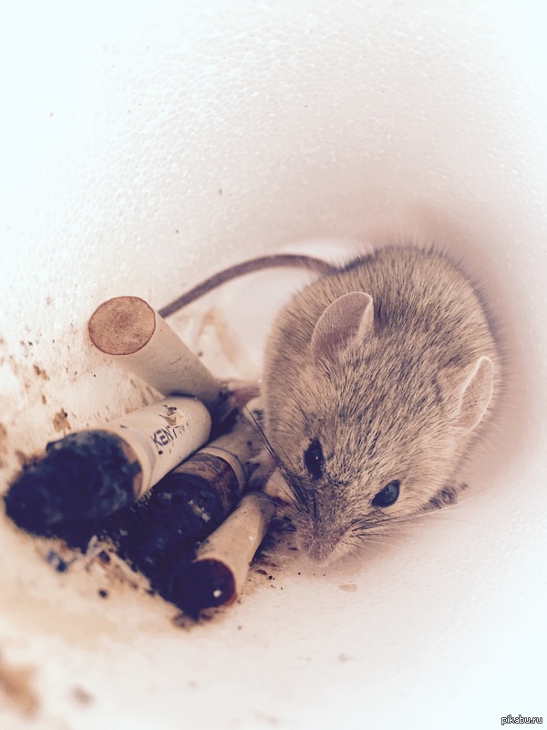 Она что-то задумала