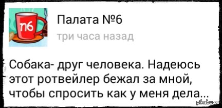 Друзья...