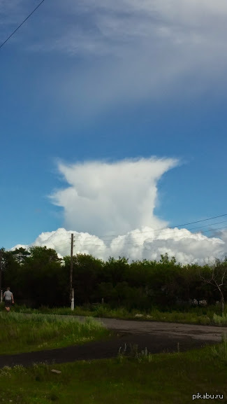 Котооблако