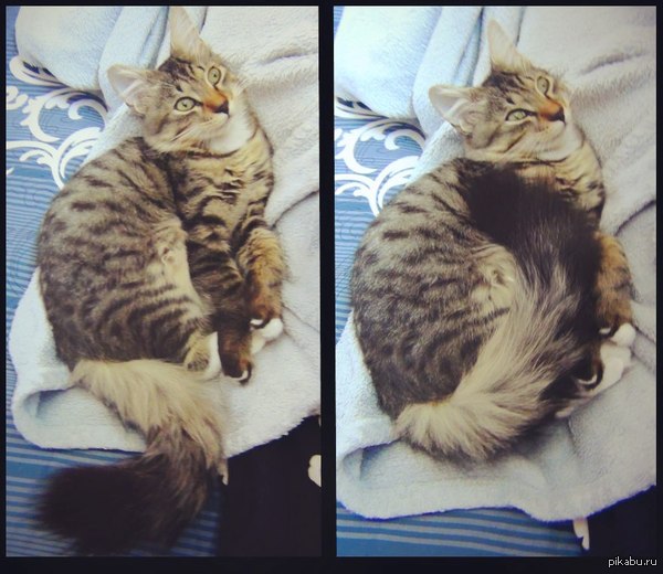 �������� ����� :3