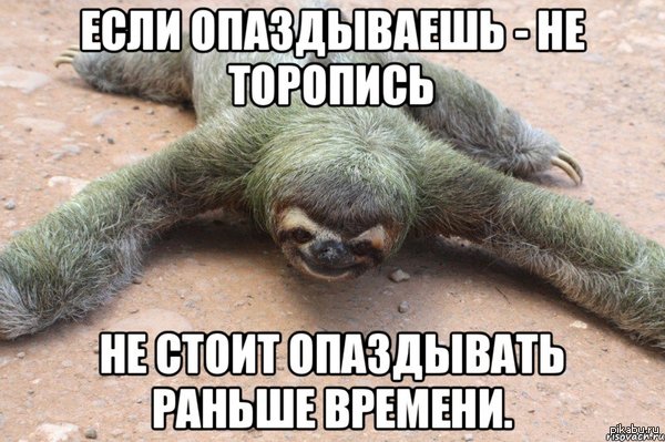 Опаздывая, не торопись!