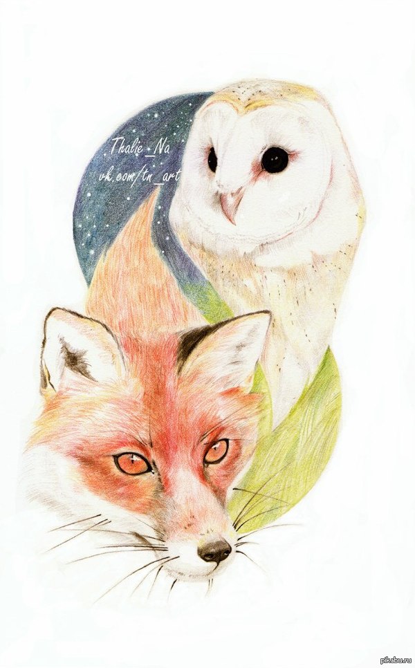 Fox&amp;owl