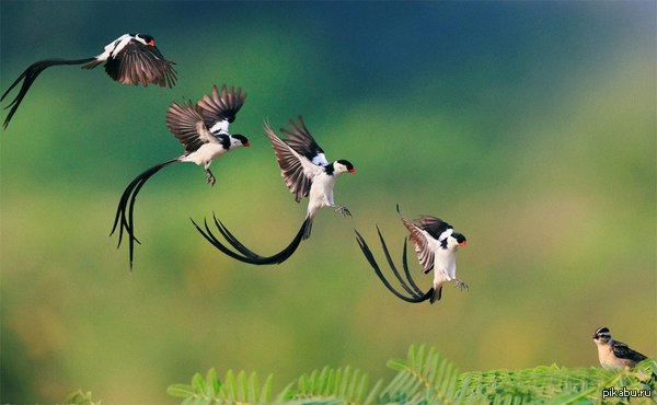 Приземление в деталях