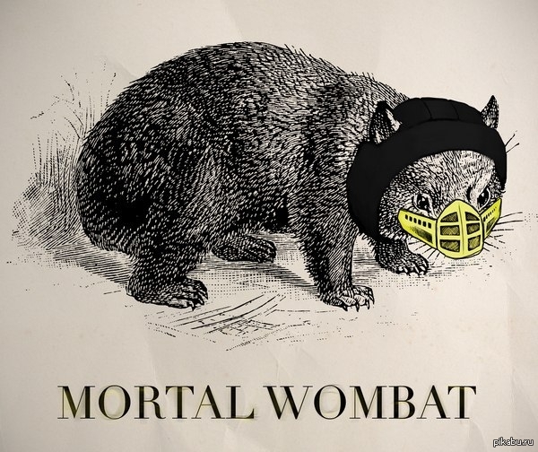 Mortal wombat