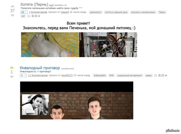 Мне стыдно за людей (