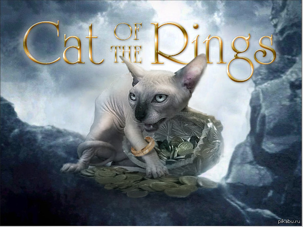 Cat of the Rings