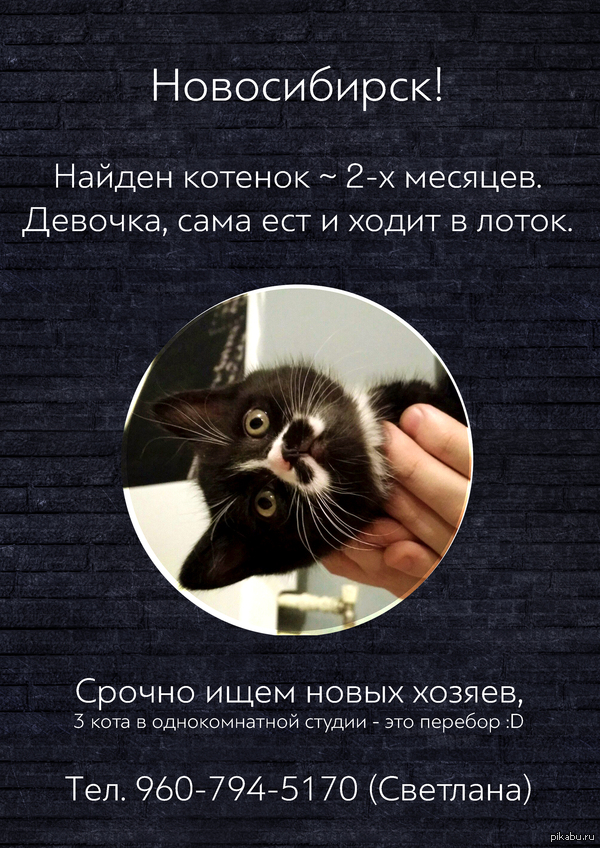 ����������� ������������ �������� �������!