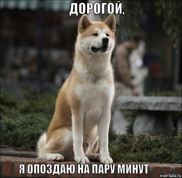 �������, �� �����������, ����������!