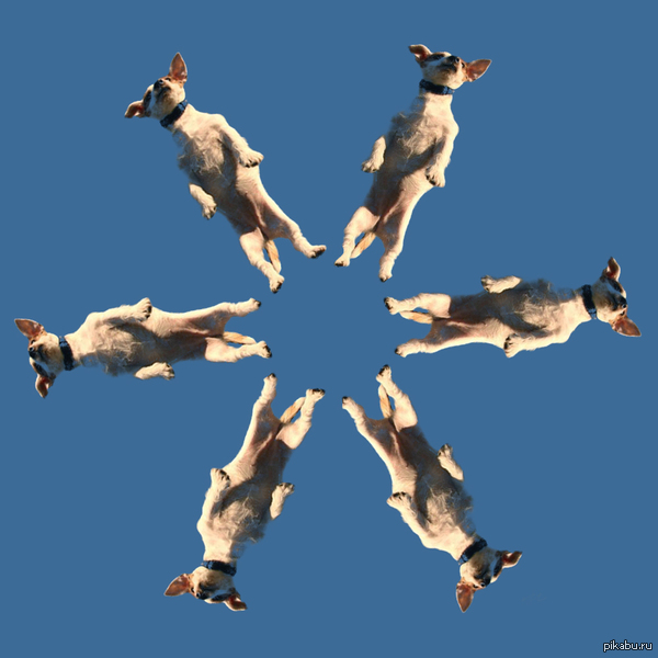  .      &quot;   - &quot;  &quot;  &quot;.