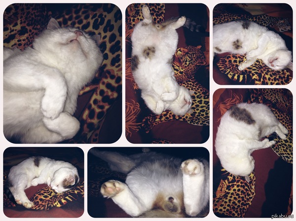 ���� ���� �� ����� ����