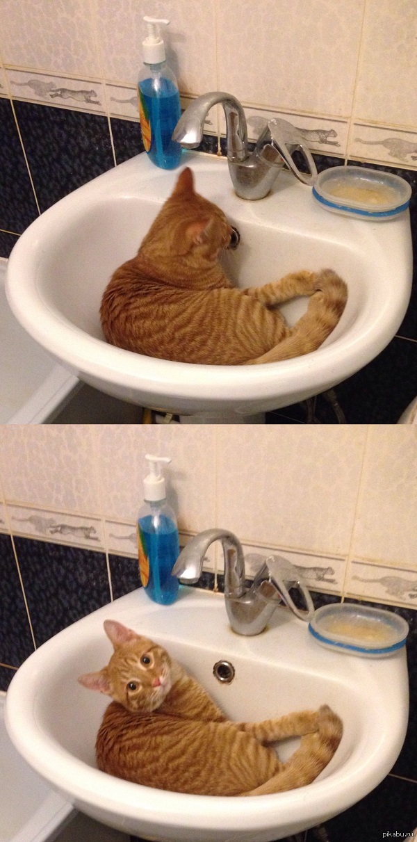 �������, � ������� ������-�� ����� ������� ����