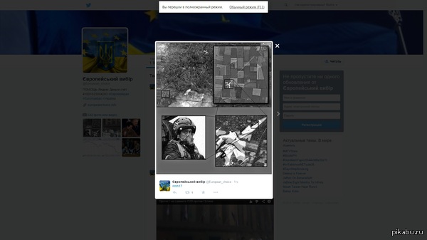 ���� ������������.