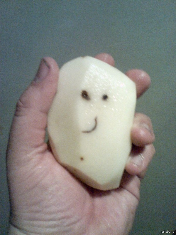 ������ ���������